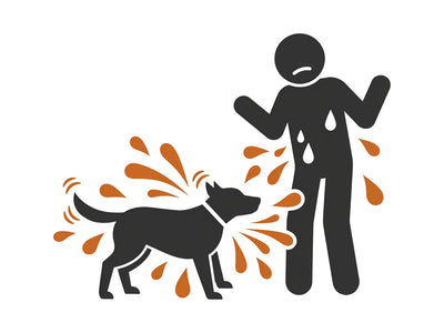 Soaking Yourself While Dog Shakes Violently